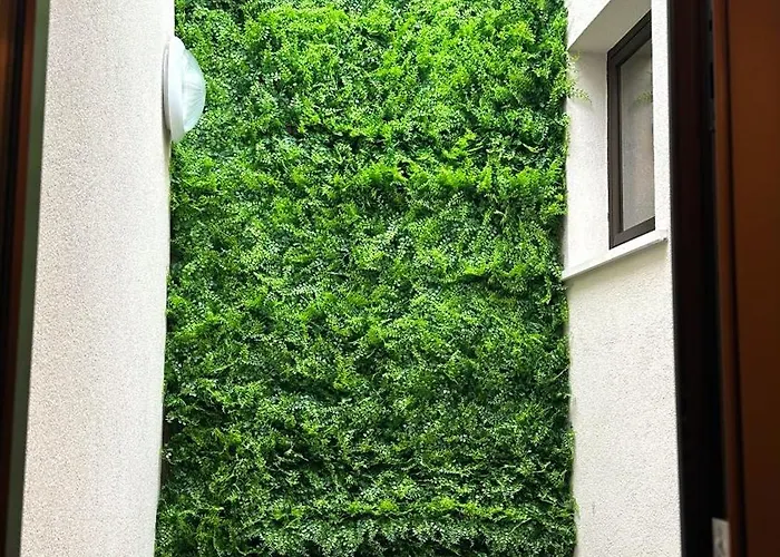 Grace לינה וארוחת בוקר בארי